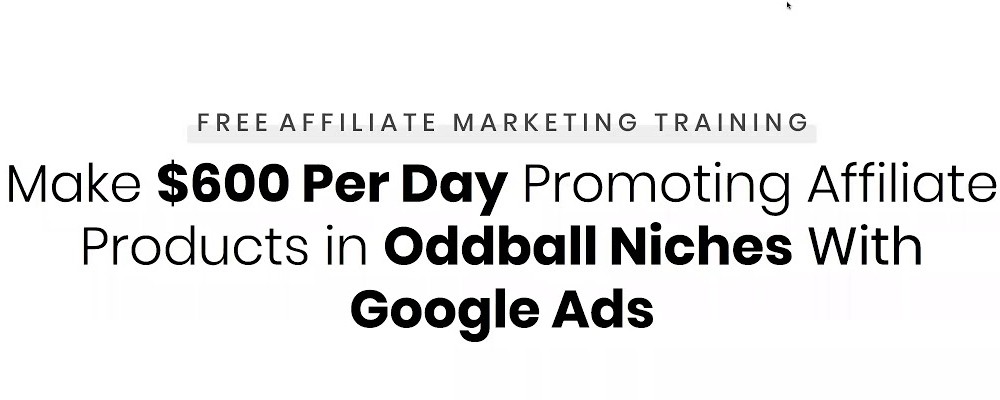 Duston Mcgoarty – $600/Day as an Affiliate With Google Ads
