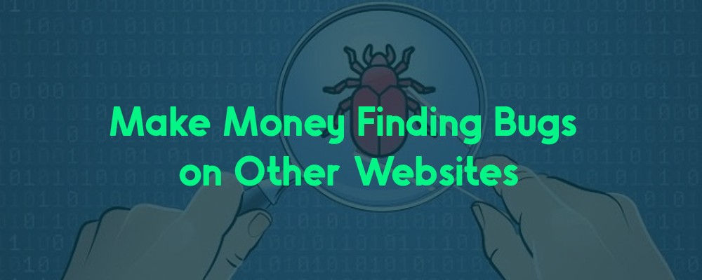 [Download] Make Money Finding Bugs on Other Websites 5