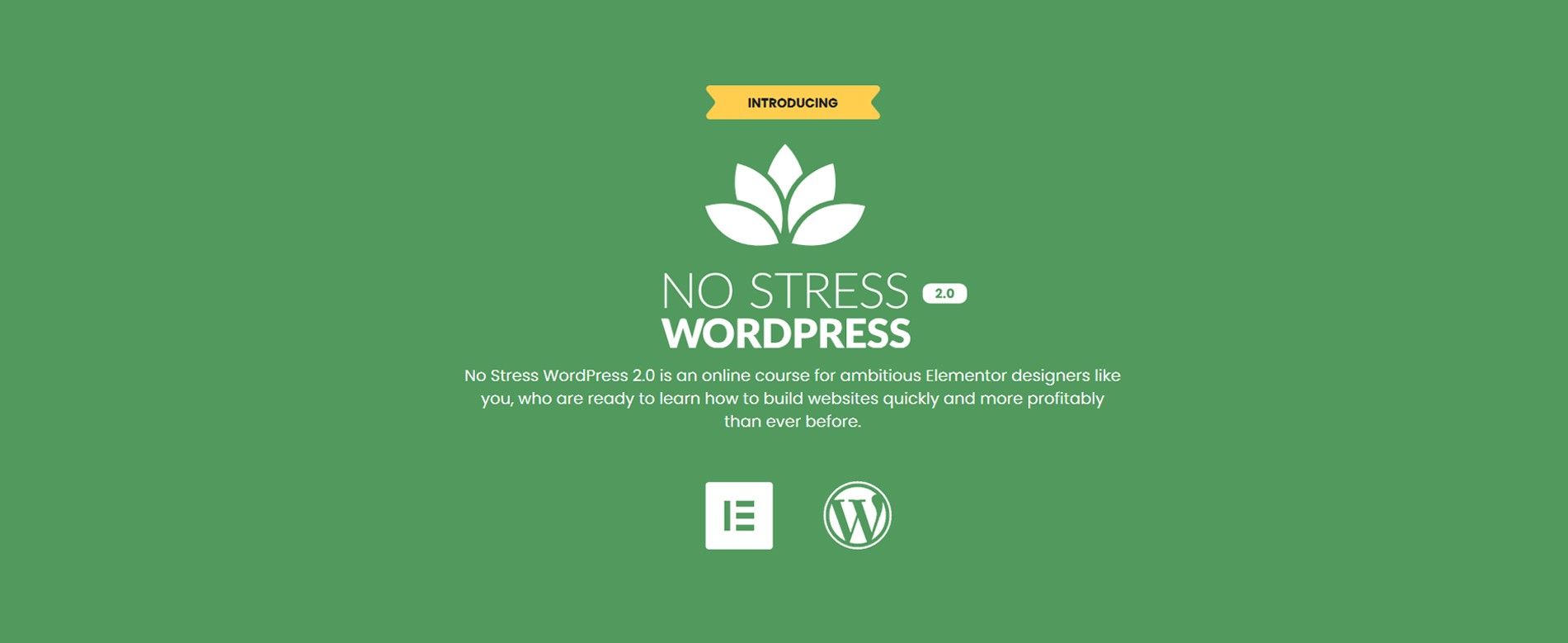 Download No Stress WordPress 2.0 By Dave Foy
