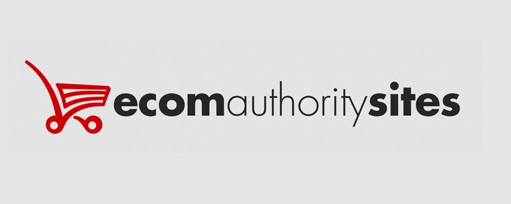 Get The Ecom Authority Sites System By Peter Van Zijl