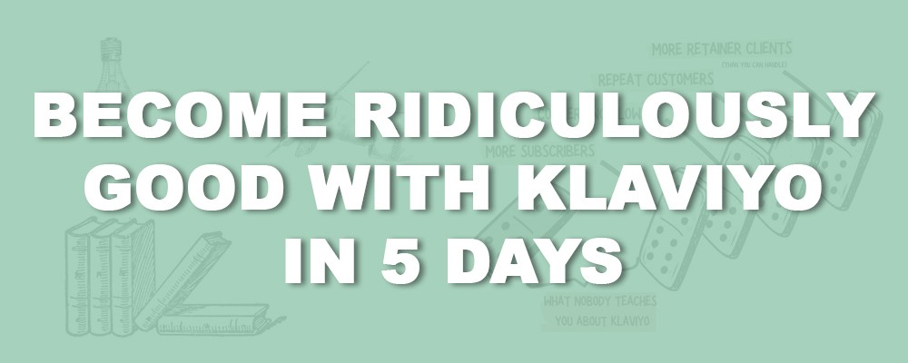 Become ridiculously good with Klaviyo in 5 days By Robert Allen